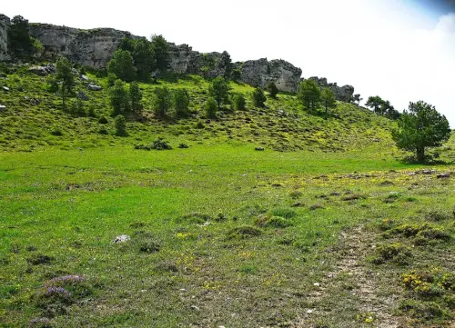 7.3-Sierra-de-Segura-Paterna-del-Madera10-Las-Taxoneras