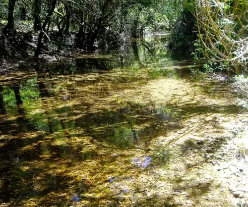 7.3-Sierra-de-Segura-Riopar20-Rio-Mundo