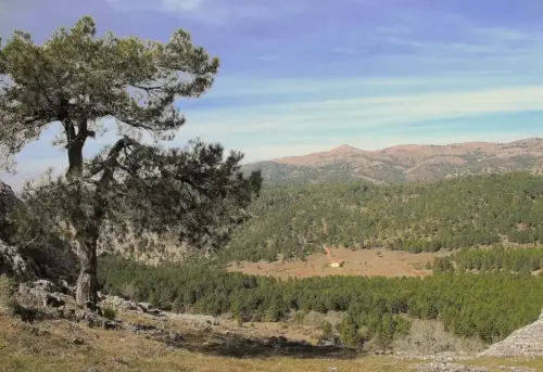 7.3-Sierra-de-Segura-Riopar22