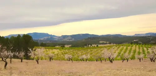 7.3-Sierra-de-Segura-Socovos11