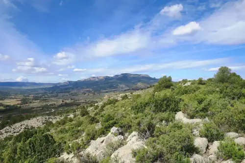 7.3-Sierra-de-Segura-Socovos12