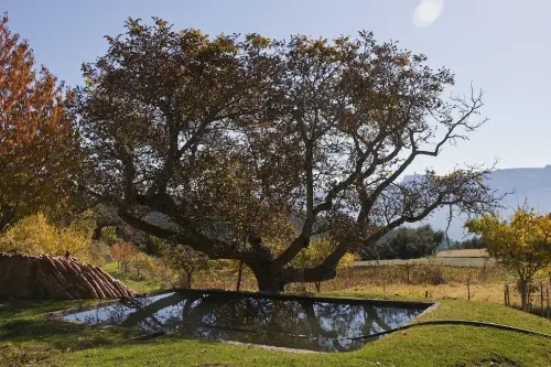 7.3-Sierra-de-Segura-Yeste25-Rincon-Cavero