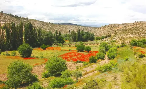7.3-Sierra-de-Segura-Yeste44-Arroyo-Sujayal