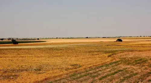 1.1-La-Mancha-Minaya03