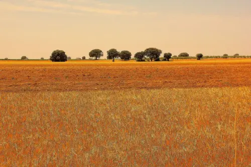 1.1-La-Mancha-Minaya08
