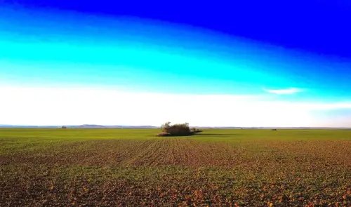 1.2-La-Mancha-Albacete12-Los-Llanos