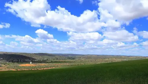 1.2-La-Mancha-Balazote01