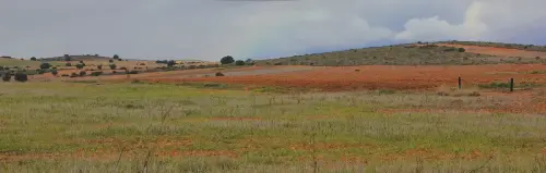 1.2-La-Mancha-Balazote02