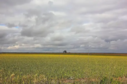 1.2-La-Mancha-Balazote04