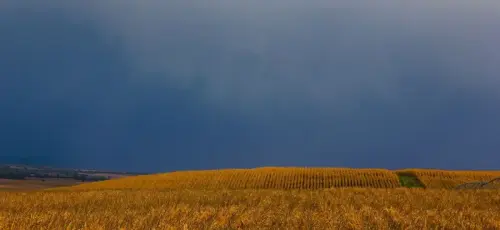 1.2-La-Mancha-Balazote05