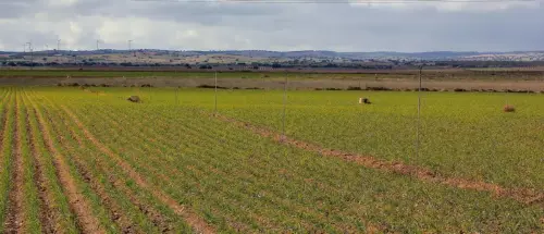 1.2-La-Mancha-Barrax04