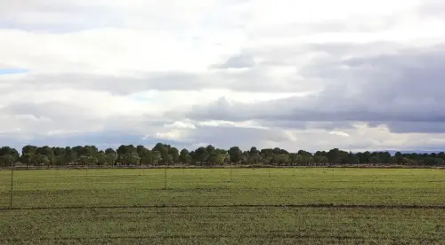 1.2-La-Mancha-La-Herrera01