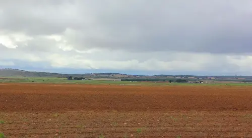 1.2-La-Mancha-La-Herrera02