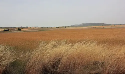 1.2-La-Mancha-Pozo-Canada05