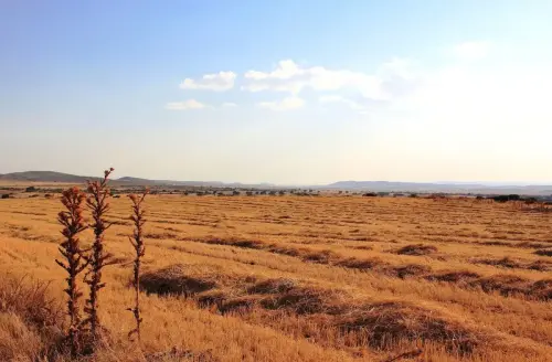 1.2-La-Mancha-Pozo-Canada06