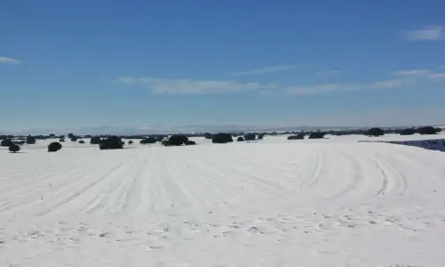 1.2-La-Mancha-Pozo-Canada08