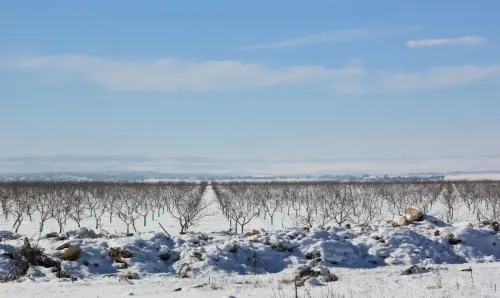1.2-La-Mancha-Pozo-Canada11