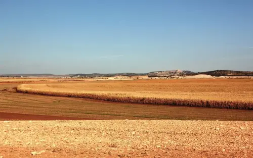 1.2-La-Mancha-Pozo-Canada13-Mercadillos-de-Abajo