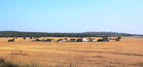 1.2-La-Mancha-Pozo-Canada14-Mercadillos-de-Abajo