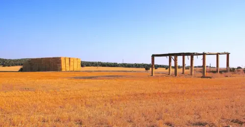 1.2-La-Mancha-Pozo-Canada15-Mercadillos-de-Abajo