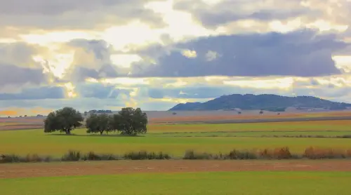 1.2-La-Mancha-Pozo-Canada16-Mercadillos-de-Arriba