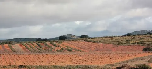 1.2-La-Mancha-Pozohondo01