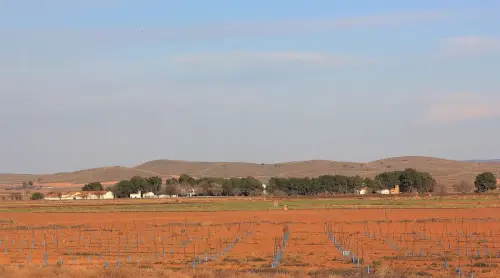 1.2-La-Mancha-Pozohondo02