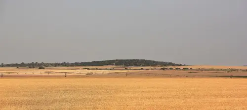 1.2-La-Mancha-Pozohondo03