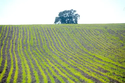 1.3-La-Mancha-La-Roda02