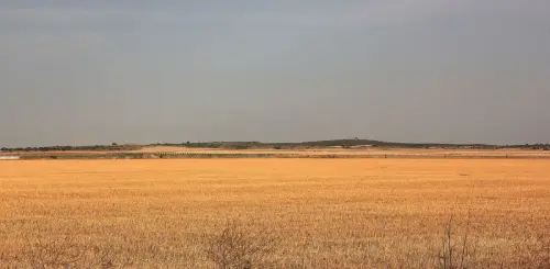 1.3-La-Mancha-La-Roda03