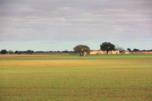 1.3-La-Mancha-La-Roda04