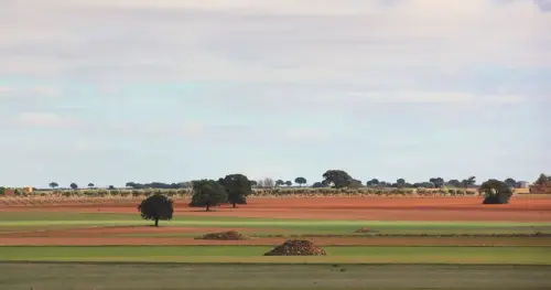 1.3-La-Mancha-La-Roda05