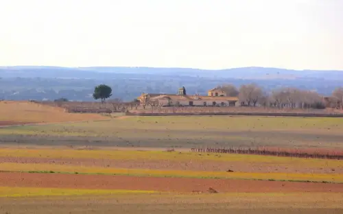 1.3-La-Mancha-La-Roda06