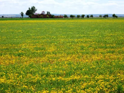 1.3-La-Mancha-Montalvos01