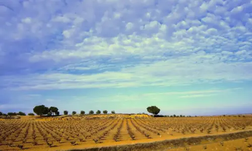 1.3-La-Mancha-Tarazona-de-la-Mancha02