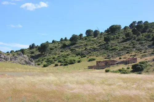 3.1-Las-Tierras-Altas-Chinchilla01-Hazas-del-Escribano