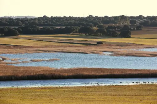 3.1-Las-Tierras-Altas-Chinchilla04-Laguna-de-Villora