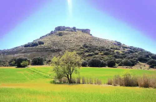 3.1-Las-Tierras-Altas-Chinchilla05-Mompichel