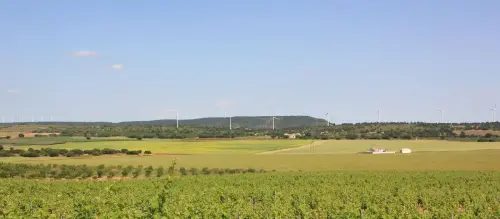 3.1-Las-Tierras-Altas-Chinchilla06-Montesinos