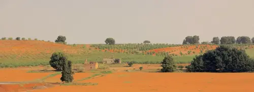 3.1-Las-Tierras-Altas-Chinchilla07-Pinilla