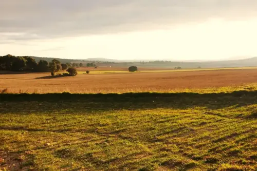 3.1-Las-Tierras-Altas-Chinchilla10-Pozo-Moro