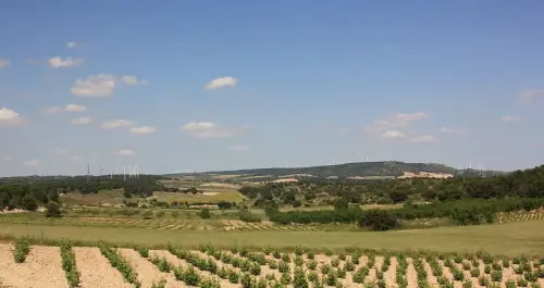 3.1-Las-Tierras-Altas-Chinchilla11-Sa-del-RomeralPinilla-y-Sa-de-La-Muela