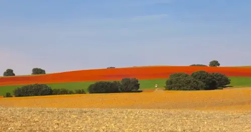 3.1-Las-Tierras-Altas-Chinchilla14