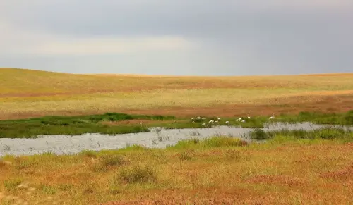 3.1-Las-Tierras-Altas-Corral-Rubio03-La-Torrecilla