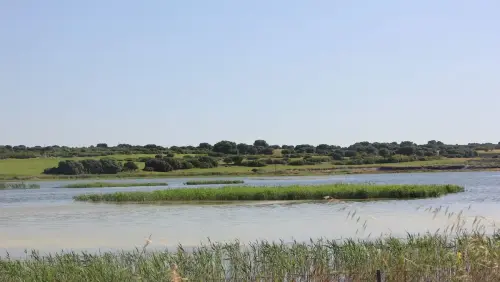 3.1-Las-Tierras-Altas-Corral-Rubio04-Laguna-de-San-Jose-o-La-Higuera