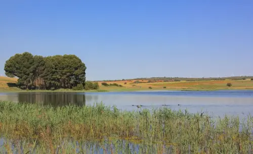 3.1-Las-Tierras-Altas-Corral-Rubio05-Laguna-de-San-Jose-o-La-Higuera