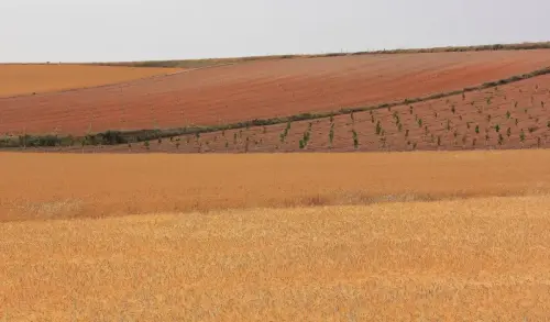 3.1-Las-Tierras-Altas-Hoya-Gonzalo01