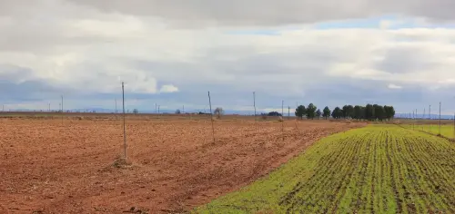 3.1-Las-Tierras-Altas-Hoya-Gonzalo04