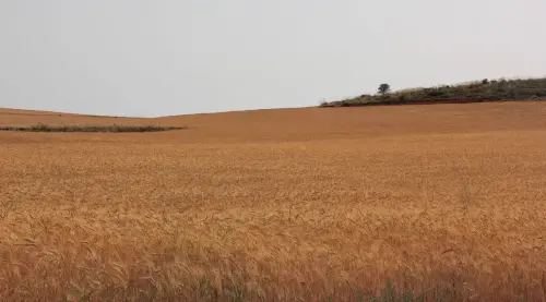 3.1-Las-Tierras-Altas-Hoya-Gonzalo05