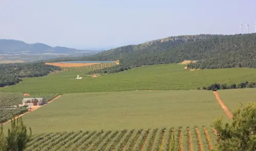 3.1-Las-Tierras-Altas-Petrola02-Las-Anorias